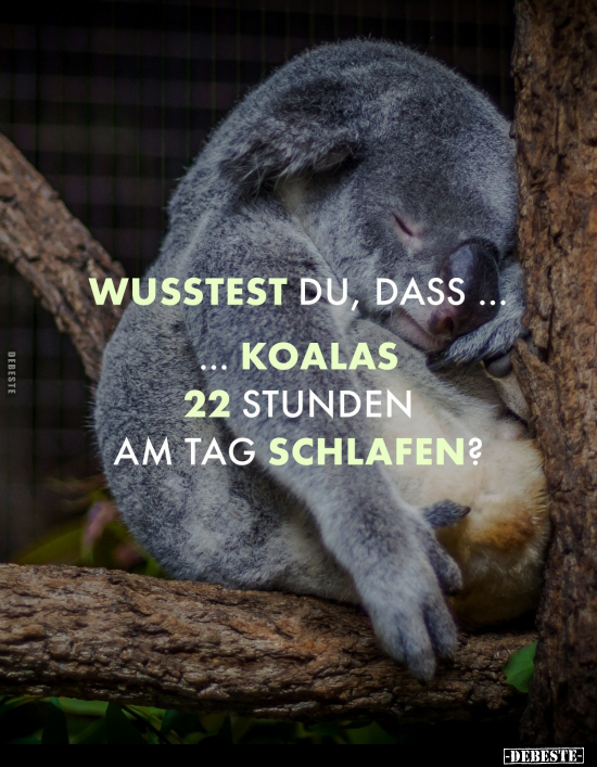 Wusstest du, dass.. - Lustige Bilder | DEBESTE.de