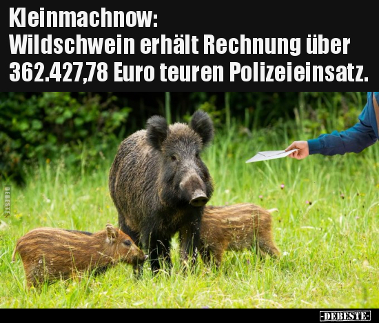 Kleinmachnow: Wildschwein erhält Rechnung.. - Lustige Bilder | DEBESTE.de