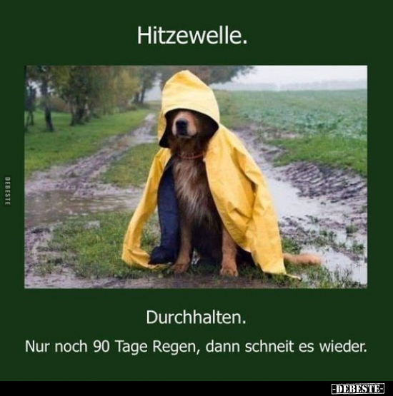 Hitzewelle. Durchhalten. Nur noch 90 Tage Regen, dann.. - Lustige Bilder | DEBESTE.de