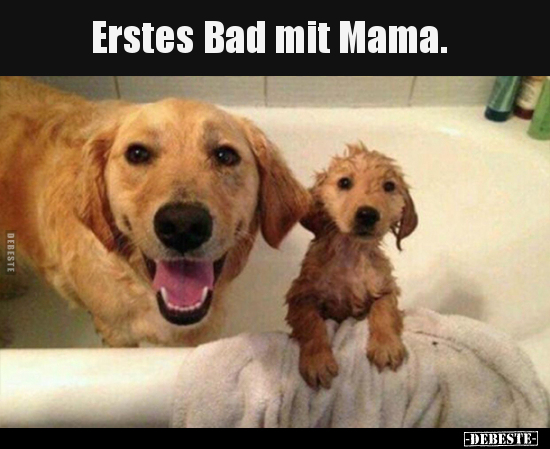 Erstes Bad mit Mama... - Lustige Bilder | DEBESTE.de