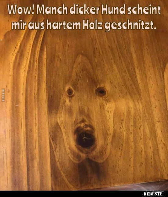 Wow! Manch dicker Hund scheint mir qus hartem Holz.. - Lustige Bilder | DEBESTE.de