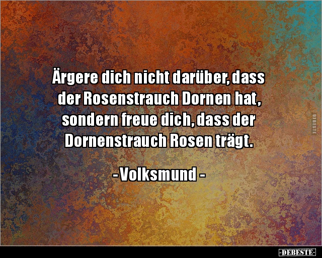 Ärgere dich nicht darüber, dass der Rosenstrauch.. - Lustige Bilder | DEBESTE.de