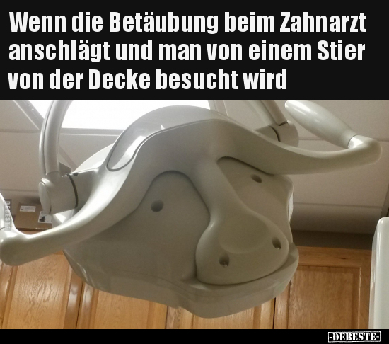 Wenn die Betäubung beim Zahnarzt anschlägt und man von.. - Lustige Bilder | DEBESTE.de