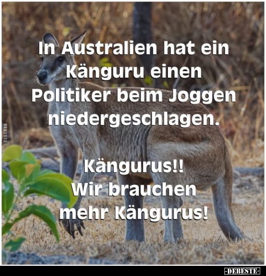 In Australien hat ein Känguru einen Politiker beim Joggen.. - Lustige Bilder | DEBESTE.de