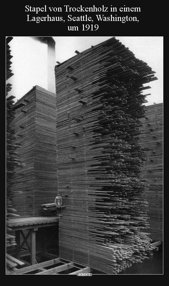 Stapel von Trockenholz in einem Lagerhaus, Seattle.. - Lustige Bilder | DEBESTE.de