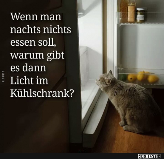 Wenn man nachts nichts essen soll, warum gibt es dann Licht im Kühlschrank? - Lustige Bilder | DEBESTE.de