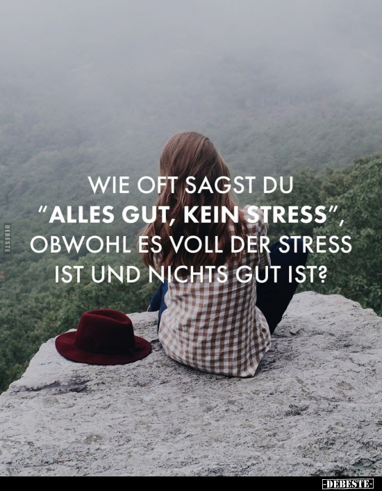 Wie oft sagst du "alles gut, kein Stress", obwohl es voll.. - Lustige Bilder | DEBESTE.de