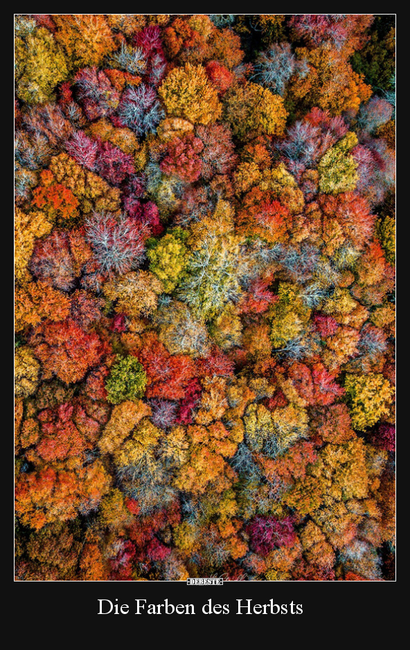 Die Farben des Herbsts.. - Lustige Bilder | DEBESTE.de
