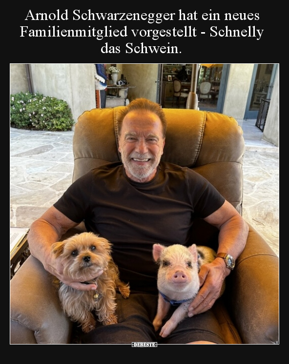Arnold Schwarzenegger hat ein neues Familienmitglied.. - Lustige Bilder | DEBESTE.de