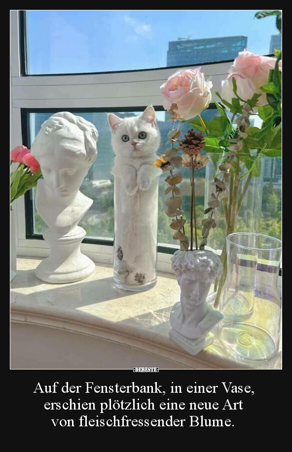 Auf der Fensterbank, in einer Vase, erschien plötzlich.. - Lustige Bilder | DEBESTE.de