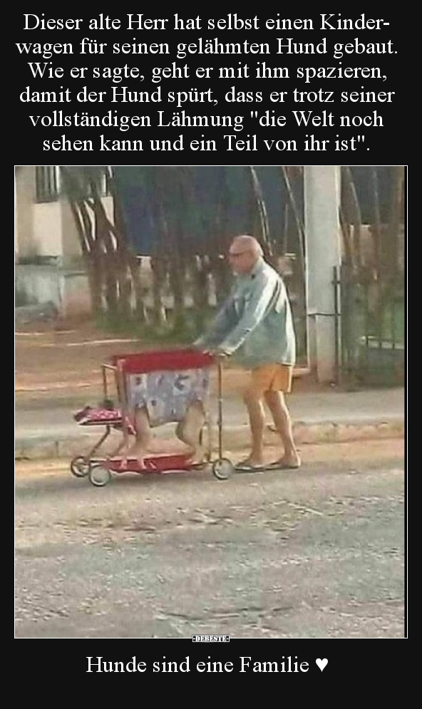 Dieser alte Herr hat selbst einen Kinderwagen für seinen.. - Lustige Bilder | DEBESTE.de