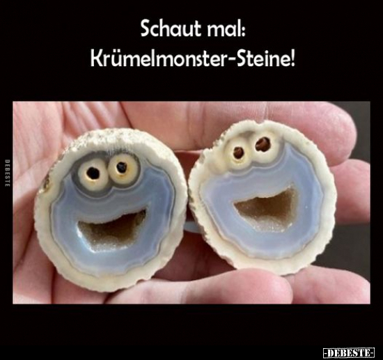 Schaut mal: Krümelmonster-Steine!.. - Lustige Bilder | DEBESTE.de