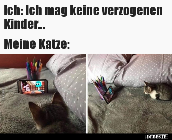 Ich: Ich mag keine verzogenen Kinder... Meine Katze.. - Lustige Bilder | DEBESTE.de