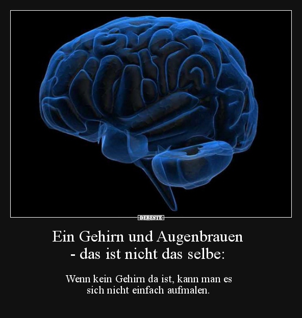 Ein Gehirn und Augenbrauen - das ist nicht das selbe.. - Lustige Bilder | DEBESTE.de