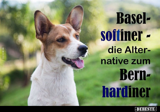 Baselsoftiner - die Alternative zum Bernhardiner.. - Lustige Bilder | DEBESTE.de