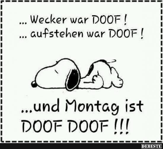 Wecker war Doof!.. - Lustige Bilder | DEBESTE.de