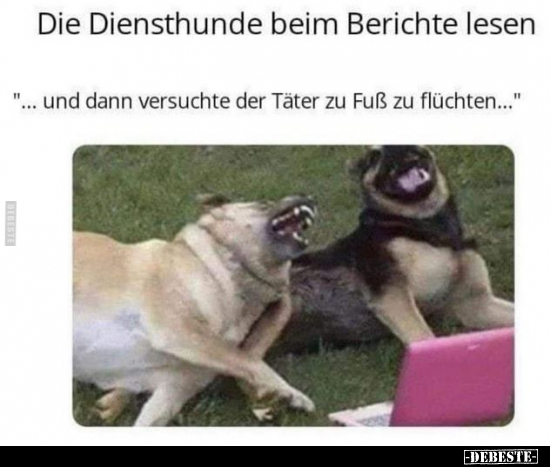 Die Diensthunde beim Berichte lesen "... und dann versuchte.." - Lustige Bilder | DEBESTE.de