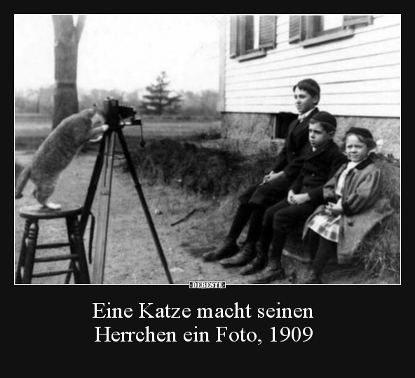 Eine Katze macht seinen Herrchen ein Foto, 1909.. - Lustige Bilder | DEBESTE.de