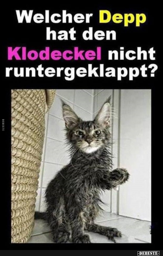 Welcher Depp hat den Klodeckel nicht runtergeklappt? - Lustige Bilder | DEBESTE.de