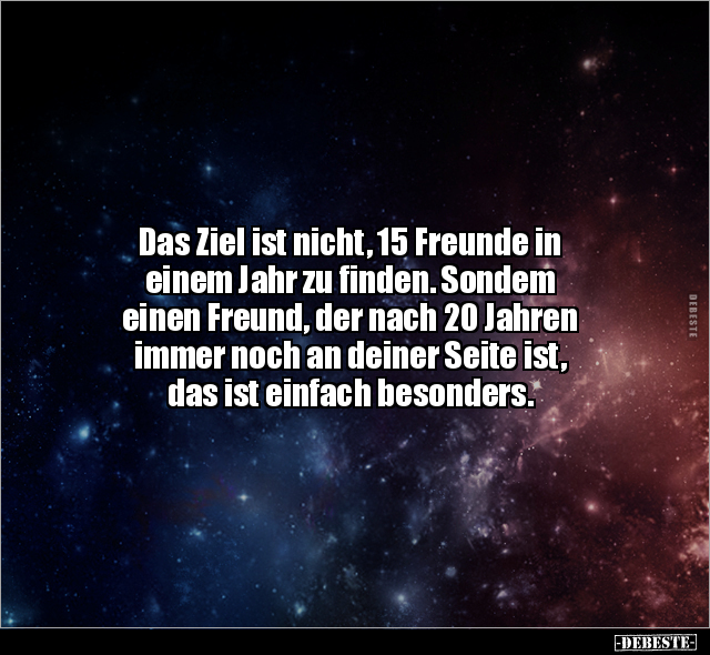 Das Ziel ist nicht, 15 Freunde in einem Jahr zu finden... - Lustige Bilder | DEBESTE.de