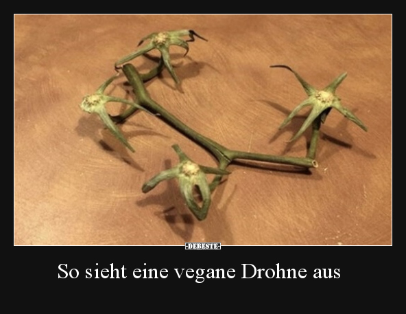 So sieht eine vegane Drohne aus.. - Lustige Bilder | DEBESTE.de