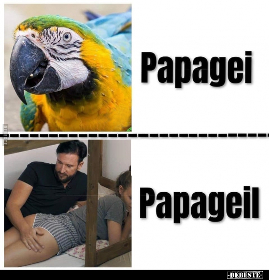 Papagei / Papageil. - Lustige Bilder | DEBESTE.de