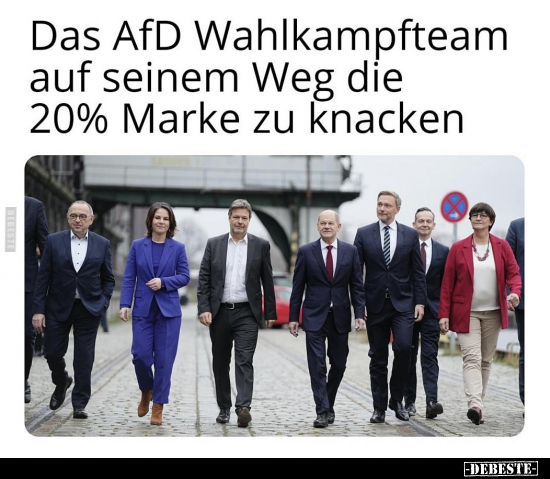 Das AfD Wahlkampfteam auf seinem Weg die 20% Marke.. - Lustige Bilder | DEBESTE.de