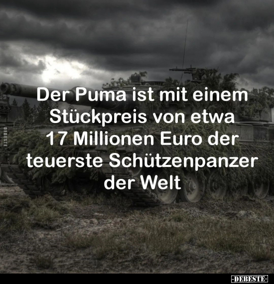 Der Puma ist mit einem Stückpreis.. - Lustige Bilder | DEBESTE.de