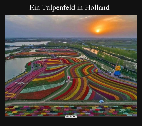 Ein Tulpenfeld in Holland.. - Lustige Bilder | DEBESTE.de
