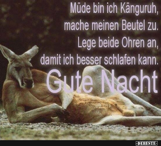 Müde bin ich Känguruh, mache meinen Beutel zu. - Lustige Bilder | DEBESTE.de