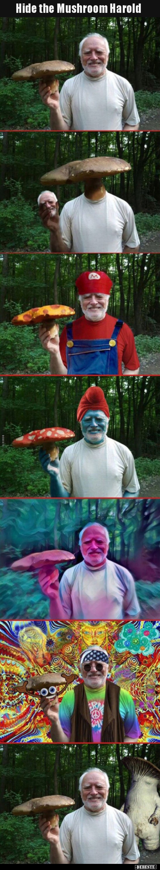 Hide the Mushroom Harold.. - Lustige Bilder | DEBESTE.de