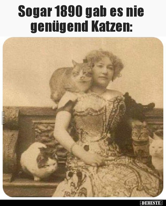 Sogar 1890 gab es nie genügend Katzen.. - Lustige Bilder | DEBESTE.de