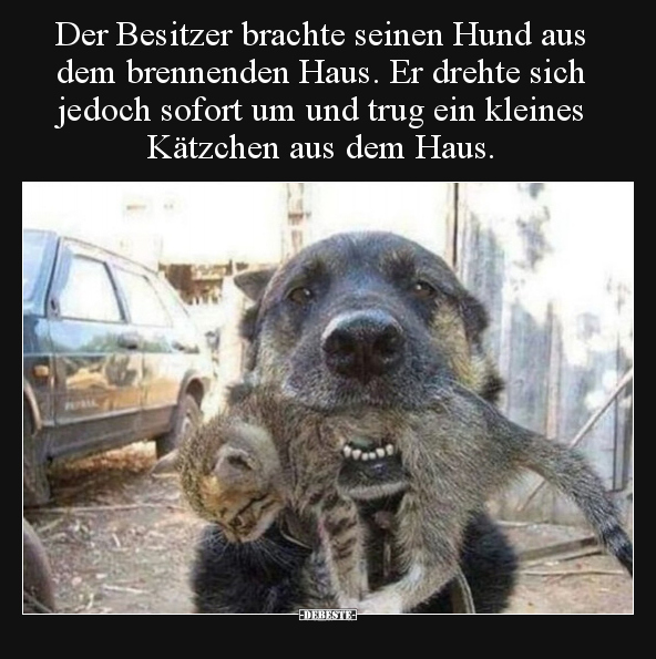 Der Besitzer brachte seinen Hund aus dem brennenden Haus... - Lustige Bilder | DEBESTE.de