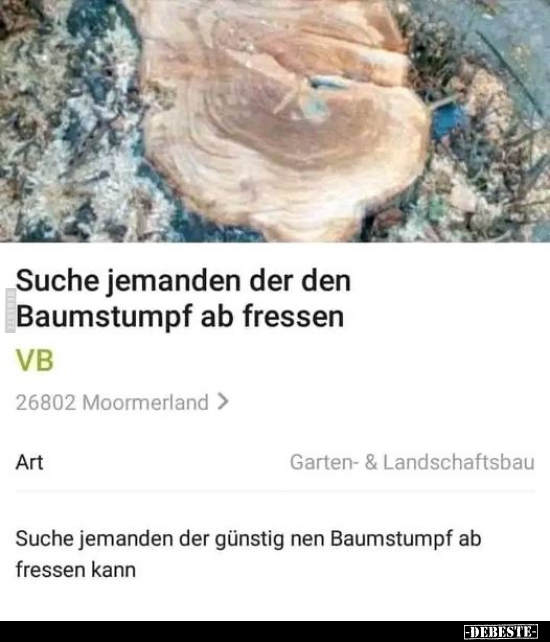 Suche jemanden der den Baumstumpf ab fressen... - Lustige Bilder | DEBESTE.de