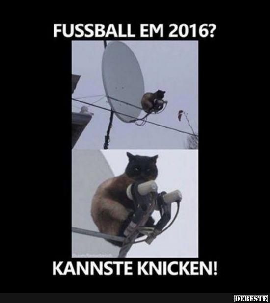 Fussball EM 2016? - Lustige Bilder | DEBESTE.de