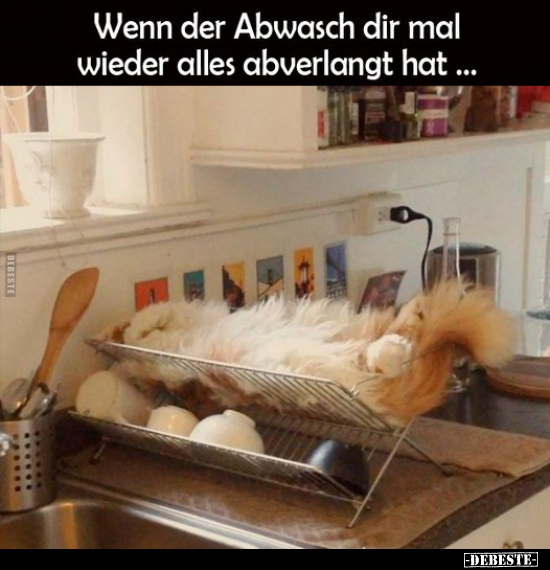 Wenn der Abwasch dir mal wieder alles abverlangt hat... - Lustige Bilder | DEBESTE.de