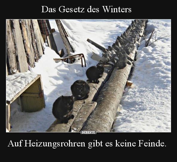 Das Gesetz des Winters... - Lustige Bilder | DEBESTE.de