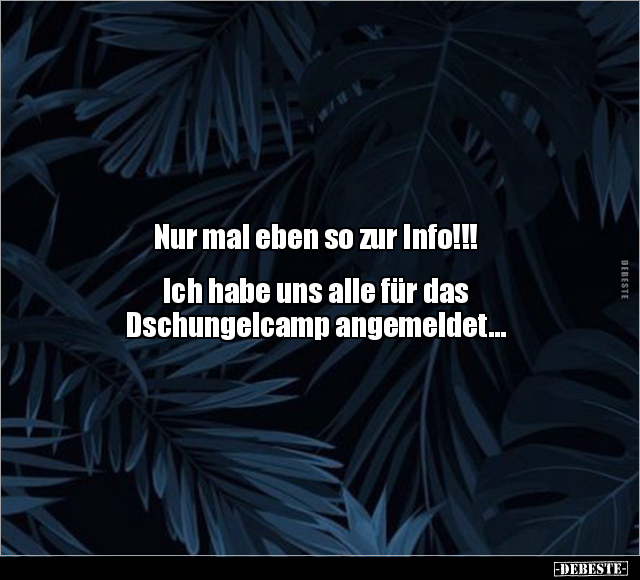 Nur mal eben so zur Info!!!  Ich habe uns alle für das Dschungelcamp angemeldet.. - Lustige Bilder | DEBESTE.de