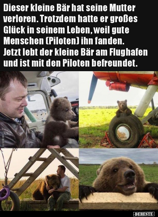 Dieser kleine Bär hat seine Mutter verloren... - Lustige Bilder | DEBESTE.de