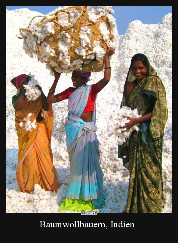Baumwollbauern, Indien.. - Lustige Bilder | DEBESTE.de