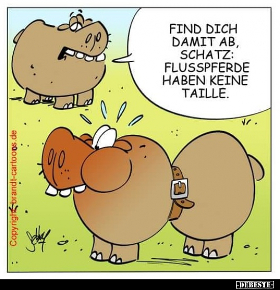 Find dich damit ab, Schatz: Flusspferde haben keine.. - Lustige Bilder | DEBESTE.de