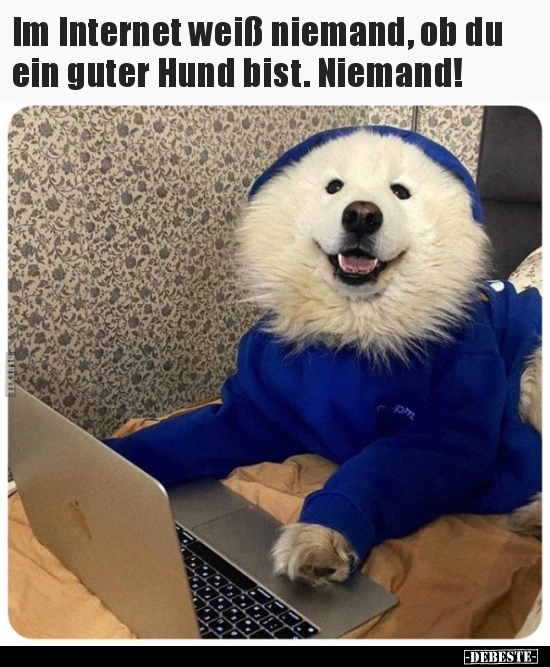 Im Internet weiß niemand, ob du ein guter Hund bist... - Lustige Bilder | DEBESTE.de