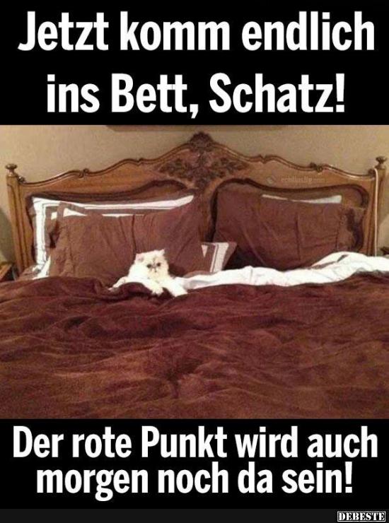 Jetzt komm endlich ins Bett Schatz! - Lustige Bilder | DEBESTE.de