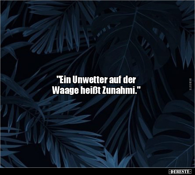 "Ein Unwetter auf der Waage heißt Zunahmi.".. - Lustige Bilder | DEBESTE.de
