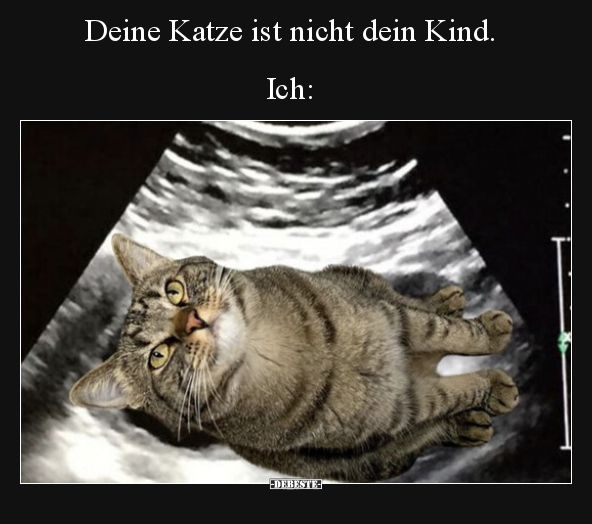 Deine Katze ist nicht dein Kind.. - Lustige Bilder | DEBESTE.de