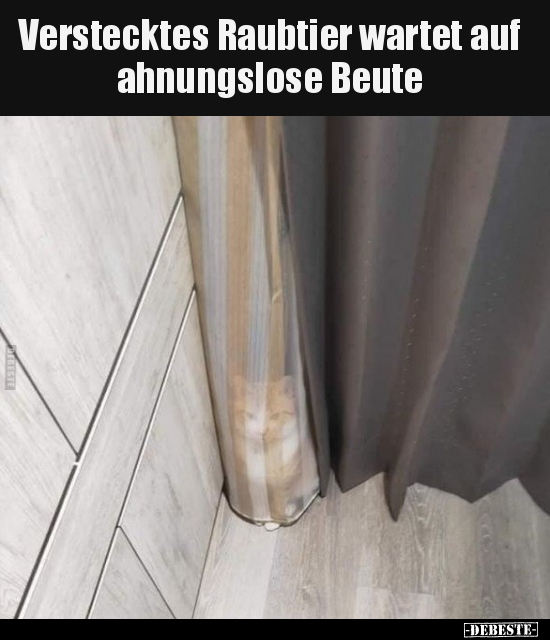 Verstecktes Raubtier wartet auf ahnungslose Beute.. - Lustige Bilder | DEBESTE.de