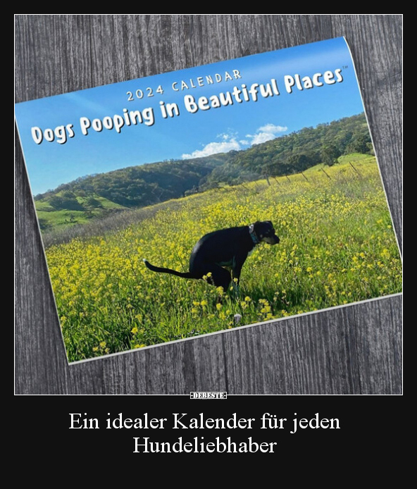 Ein idealer Kalender für jeden Hundeliebhaber.. - Lustige Bilder | DEBESTE.de