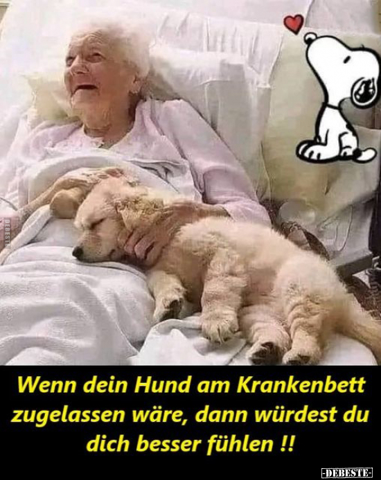 Wenn dein Hund am Krankenbett zugelassen wäre, dann würdest.. - Lustige Bilder | DEBESTE.de