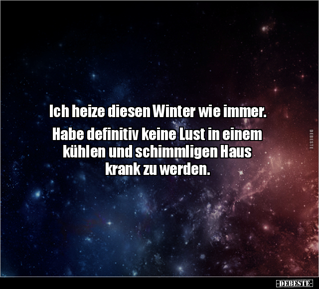 Ich heize diesen Winter wie immer.. - Lustige Bilder | DEBESTE.de