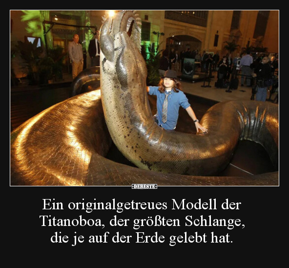Ein originalgetreues Modell der Titanoboa, der größten.. - Lustige Bilder | DEBESTE.de